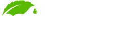Ecolservizi Aprilia